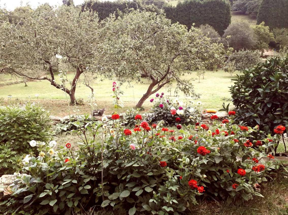 Paca Casa Rural. Arts And Landscape In Asturias กิฮอน ภายนอก รูปภาพ