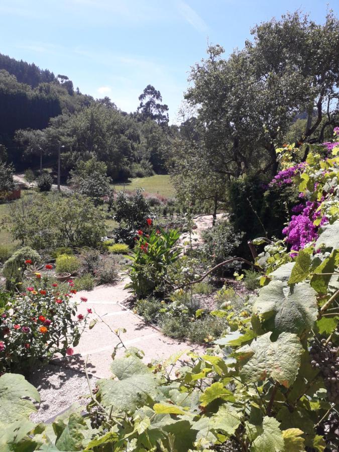 Paca Casa Rural. Arts And Landscape In Asturias กิฮอน ภายนอก รูปภาพ