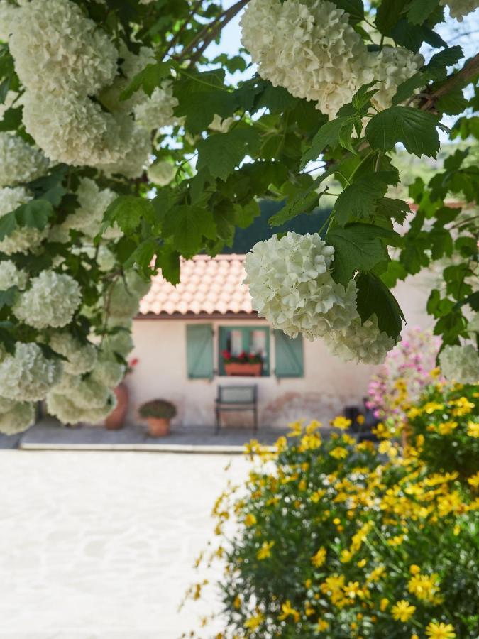 Paca Casa Rural. Arts And Landscape In Asturias กิฮอน ภายนอก รูปภาพ